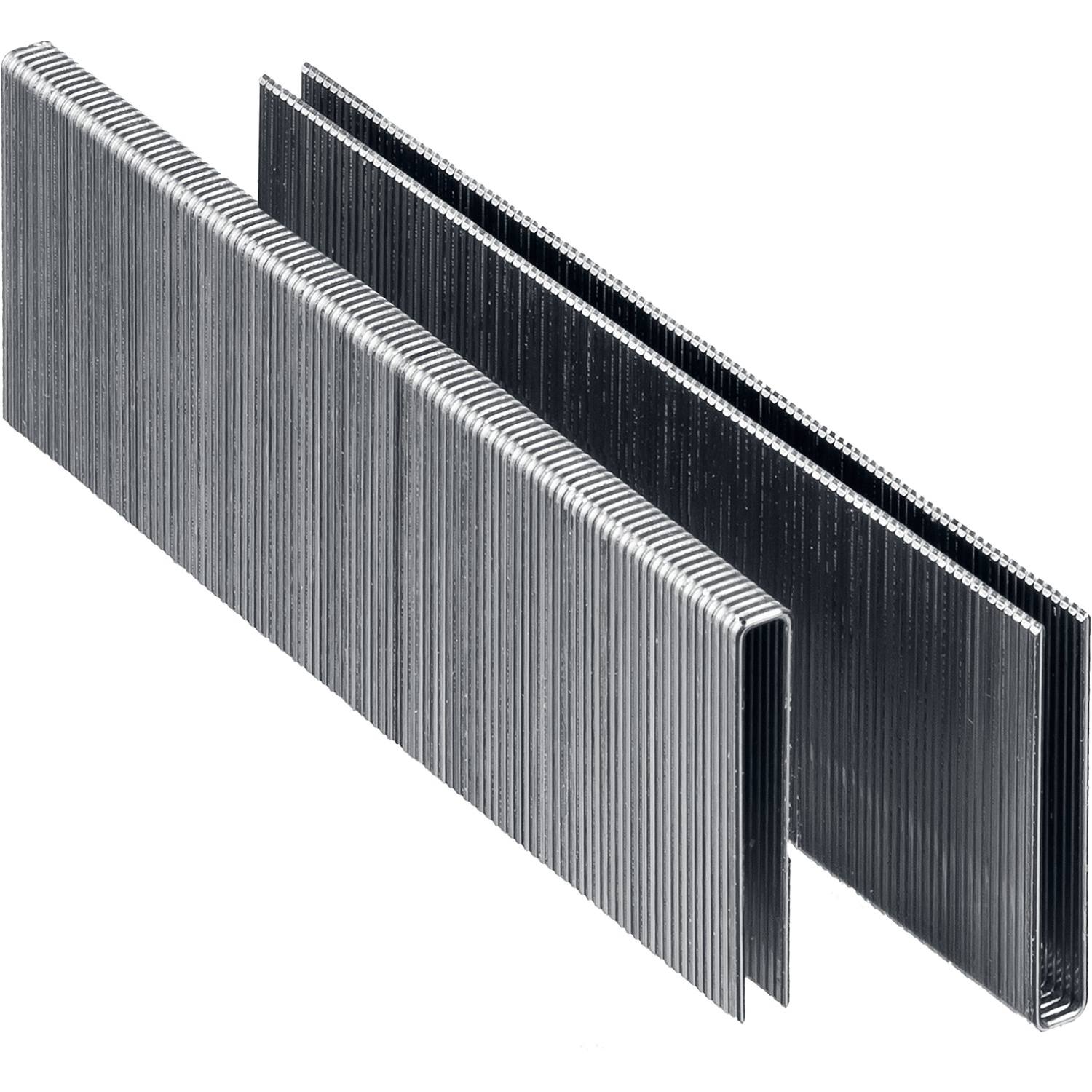 ЗУБР 40 мм скобы для степлера тонкие, широкие тип 55, 2500 шт {31855-40}